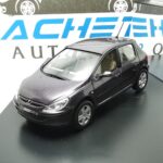 PEUGEOT 307 MOV – 1