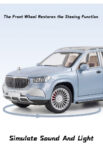 Mercedes-Benz-Maybach GLS 600 silver 6