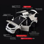 Tesla model X White