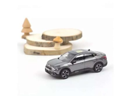 Citroen C4 X 2023 platinum grey
